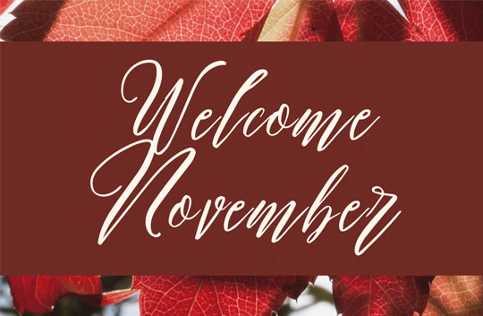 Welcome November! The month of gratitude is finally here, and we challenge you to 30 days of Intentional Gratitude. Think of one thing each day of November that you are thankful for.