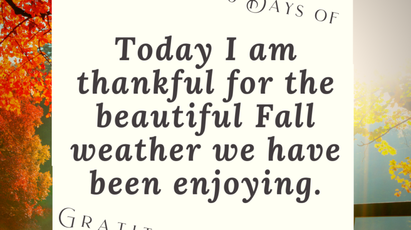 Gratitude Challenge - Today I'm thankful for the beautiful weather we have been enjoying!